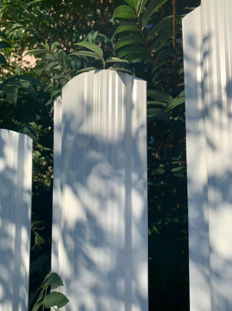 забор из штакетника белый фото7 в Кызыле