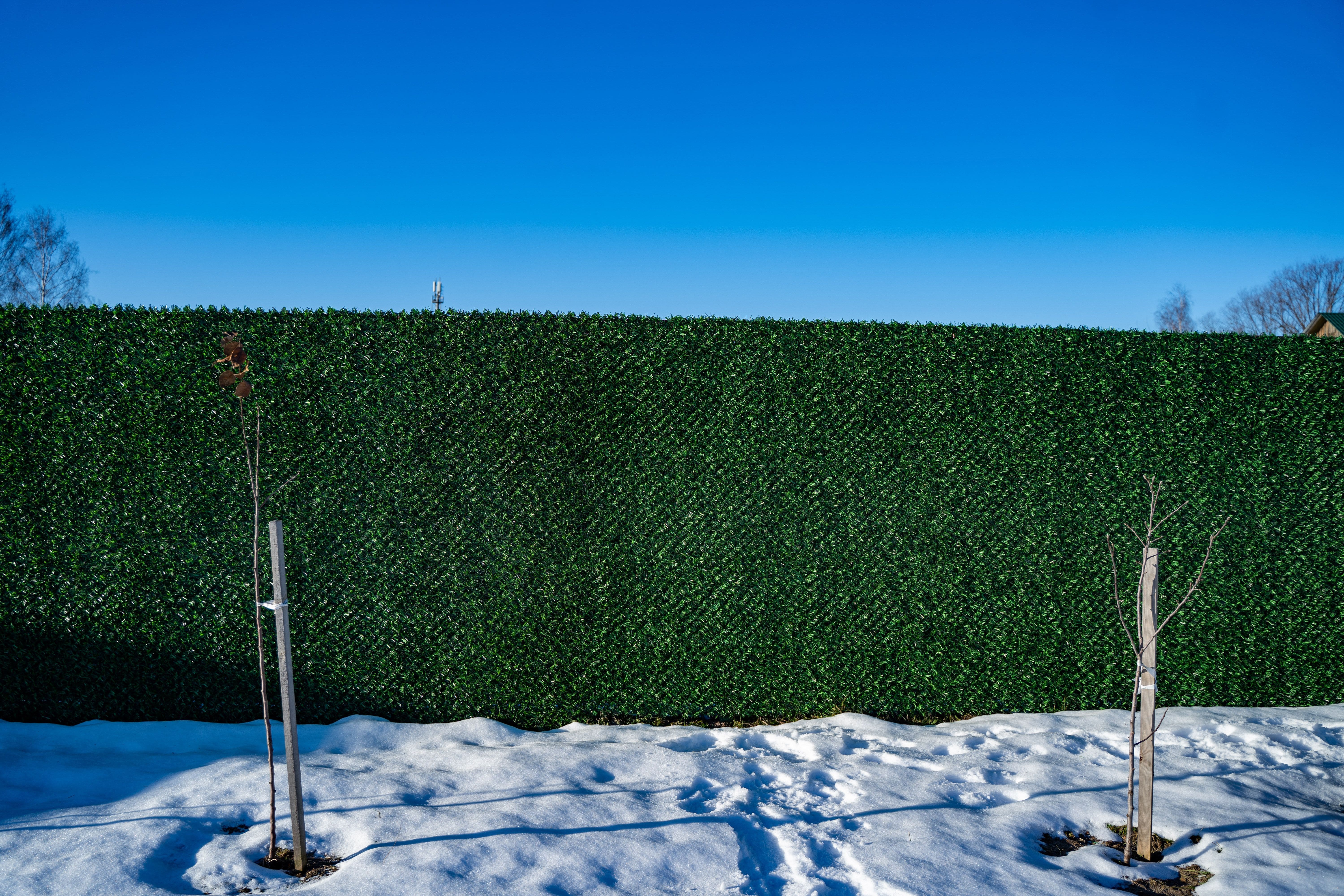 Вечнозеленый забор Grass Fence рулон 2м фото 8 в Кызыле